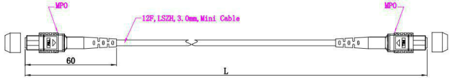 12F OM3數(shù)據(jù)中心12芯MTP MPO跳線0