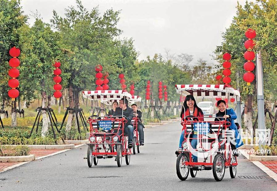 泉州市區張燈結彩迎春節 中國結式彩燈凸顯年味